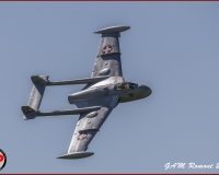 TSR Watermark - 0478